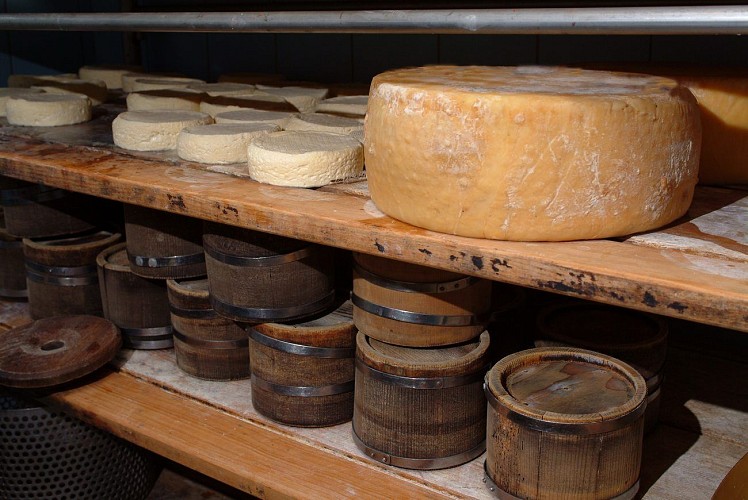 Les fromages produits sur place