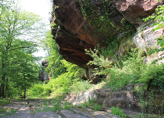 Circuit Autour du Col de Saverne