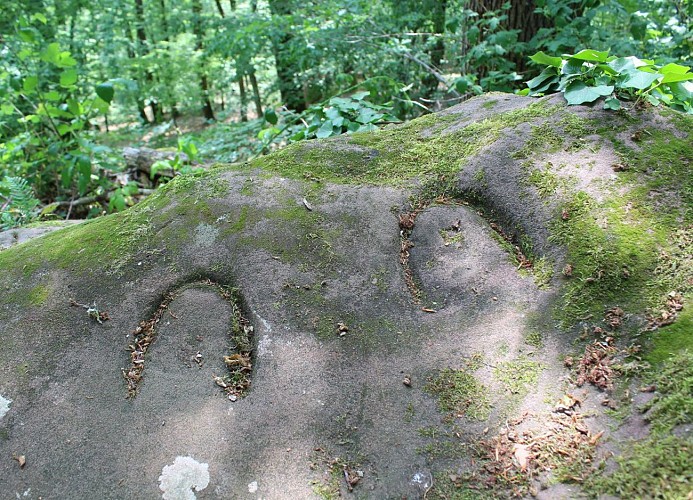 Circuit Autour du Col de Saverne