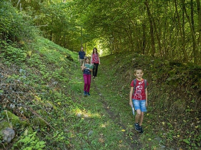 Treasure hunt: The adventures of Rose and Louis in Waldersbach