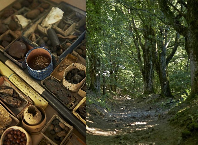 Treasure hunt: The adventures of Rose and Louis in Waldersbach