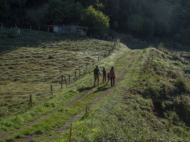 Treasure hunt: The adventures of Rose and Louis in Waldersbach