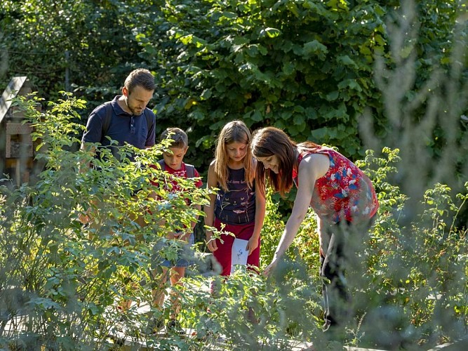 Treasure hunt: The adventures of Rose and Louis in Waldersbach