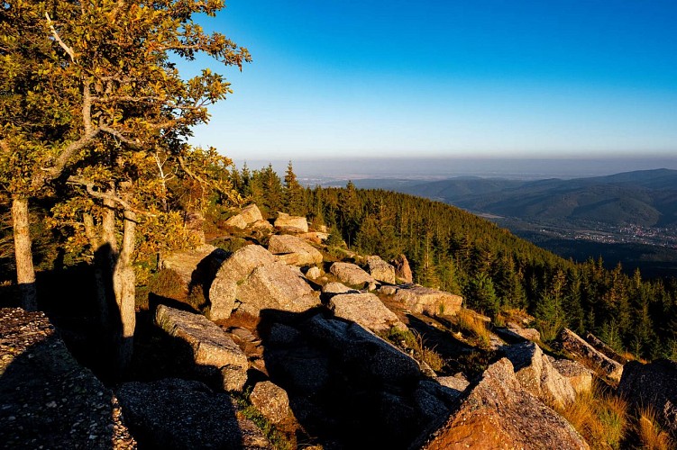 Circuit VTT B10 : Boucle sur les hauteurs de Lutzelhouse