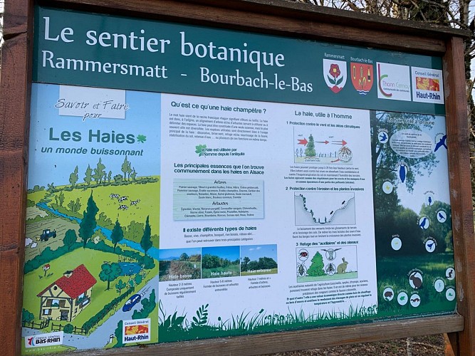 Panneau_explicatif_sentier_botanique