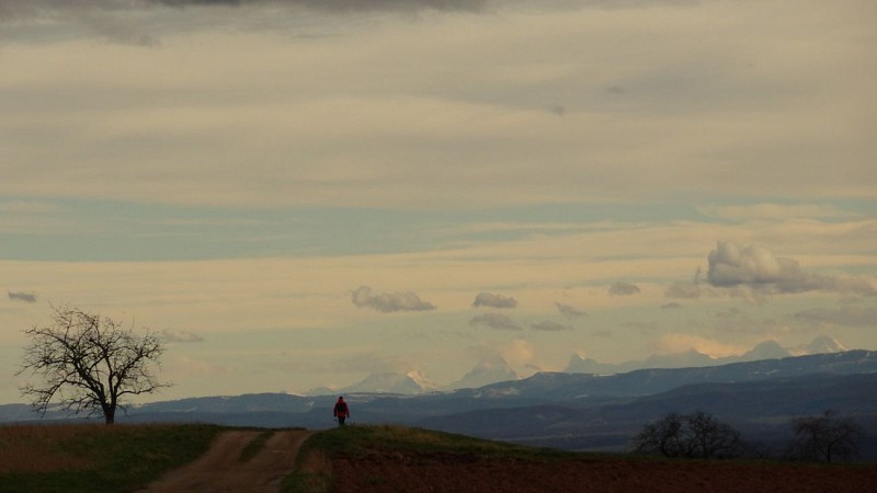 Vue des Alpes au sommet du village de Rammersmatt