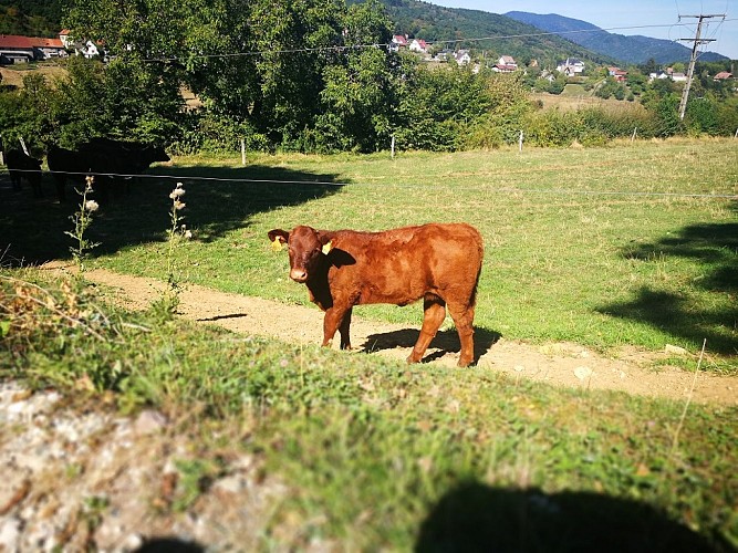 La ferme de Rammersmatt