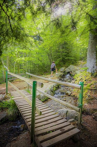 Ein kühles Plätzchen... am Hohwald-Wasserfall