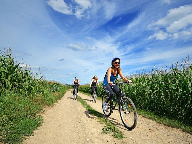 A vélo dans la plaine