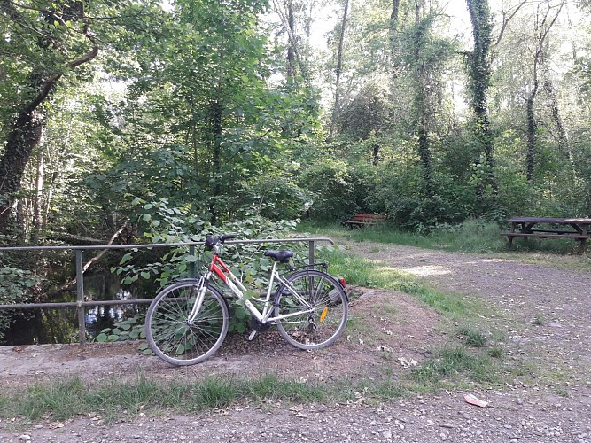 BL514 - Rheinischer Humanismus und Kunsthandwerk im Ried-Gebiet