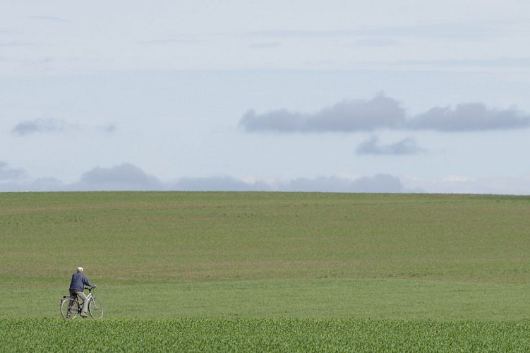Circuit découverte VTC