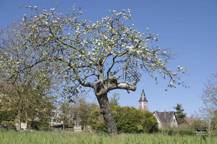 Circuit découverte VTC