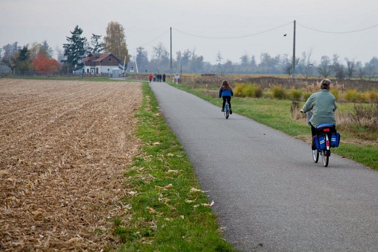 Circuit découverte VTC