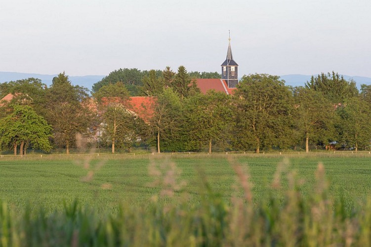 Zwischen Kapelle und Hopfen