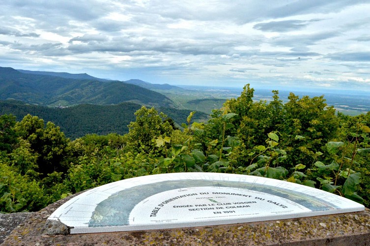 Mountain bike trail 9 - The heights of Ammerschwihr