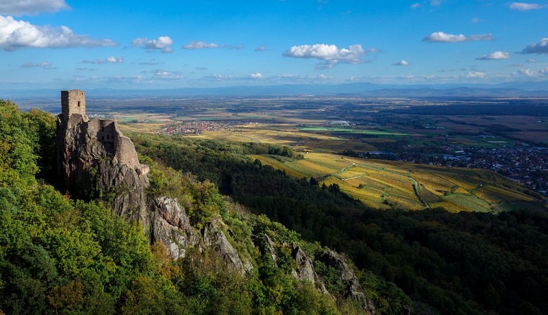 Die drei Schlösser von Ribeauvillé (Dusenbach)