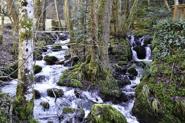 ECOBALADE - Cascade du Heidenbad