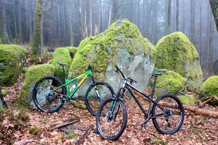 Mountain bike trail - Les Mines