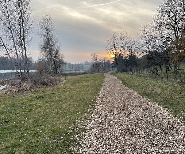 Cyclo - Collines et forêts