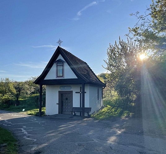 Cyclo - Collines et forêts