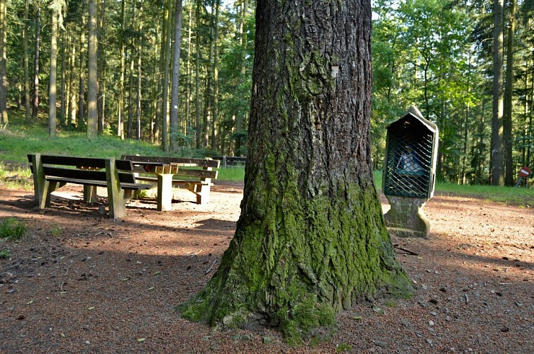 Wanderung - von Kaysersberg nach Ammerschwihr