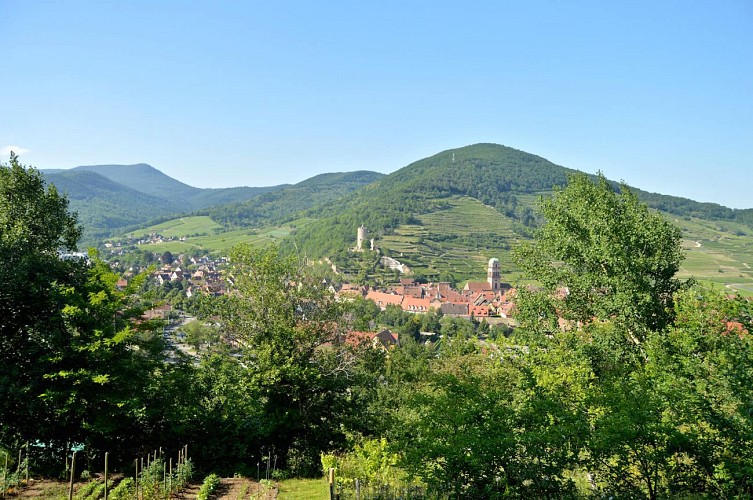 Hiking tour - from Kaysersberg to Ammerschwihr