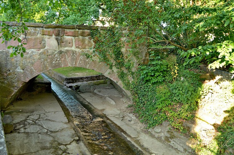 Hiking tour - from Kaysersberg to Ammerschwihr