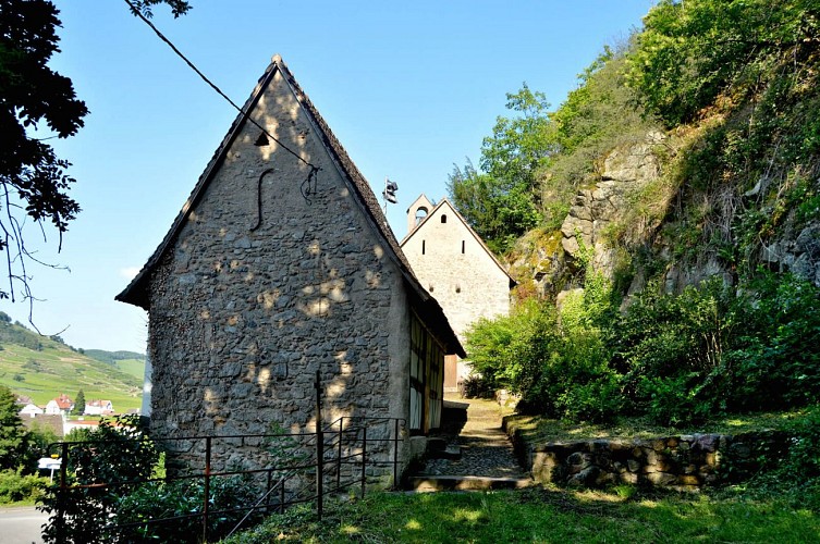 Hiking tour - from Kaysersberg to Ammerschwihr