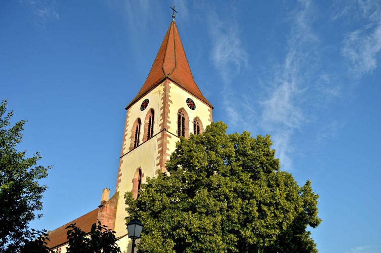 Circuit rando - de Kaysersberg à Ammerschwihr entre vignoble et forêt