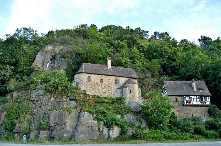 Circuit rando - de Kaysersberg à Ammerschwihr entre vignoble et forêt