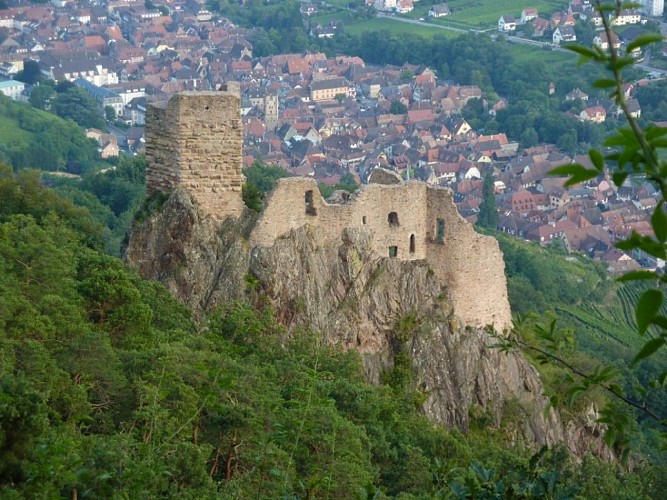 Entdeckungstour durch Ribeauvillé