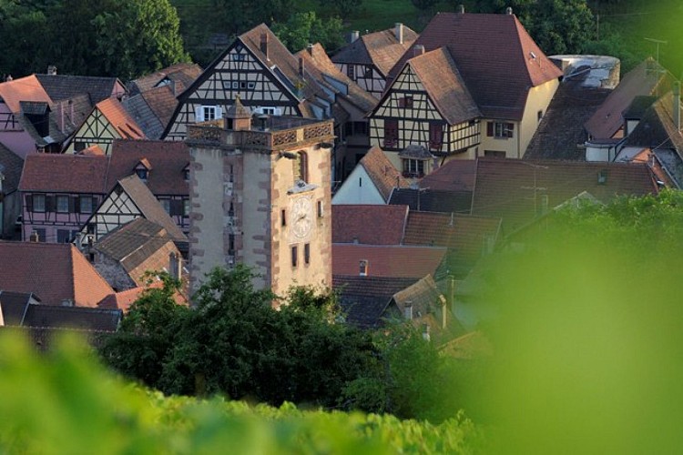 Entdeckungstour durch Ribeauvillé