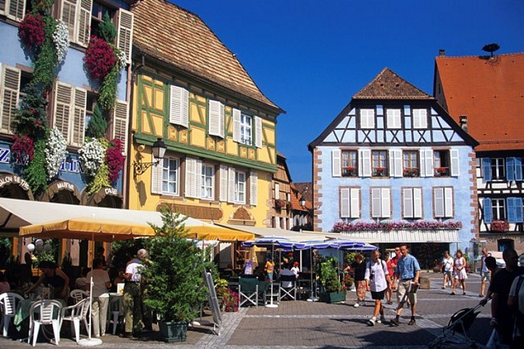 Ribeauvillé discovery tour