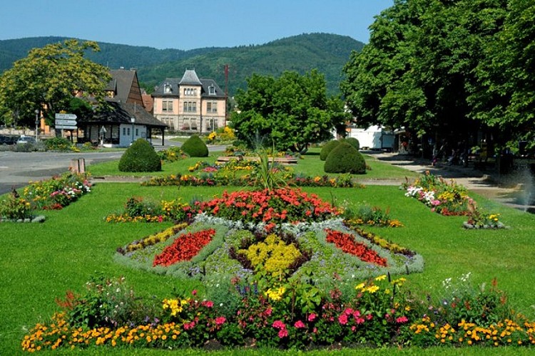 Ribeauvillé discovery tour