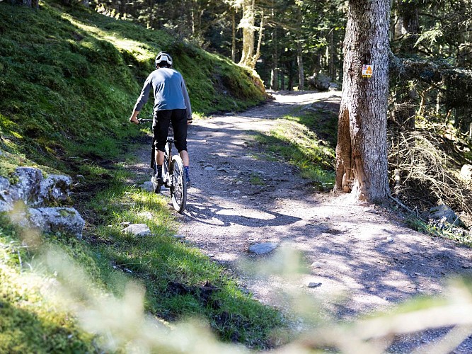 VTT Cul de vin