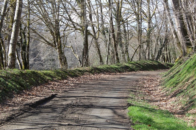 Chemin du POC - Uzerche © JL (2)
