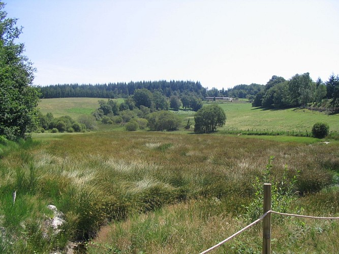 chadebec vallon 1