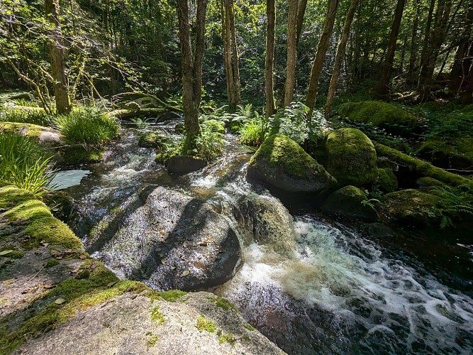 Rocher de Servière © M Clavaux (7)