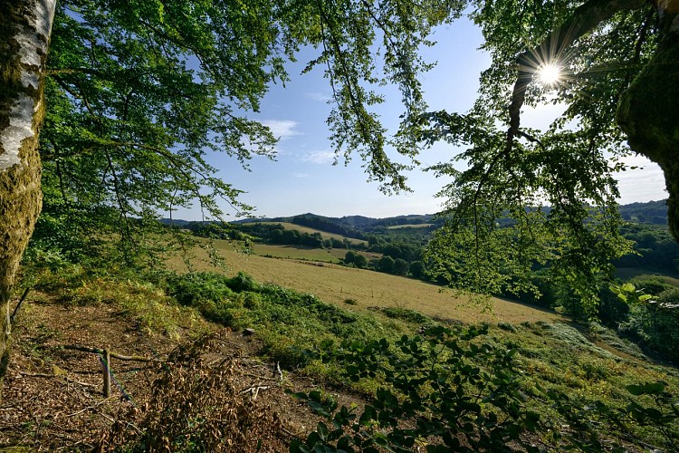 Vue du Mont-Ceix - Chamberet © Benoit Charles (8)