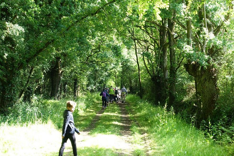 Circuit des Ajoncs (Pruillé)