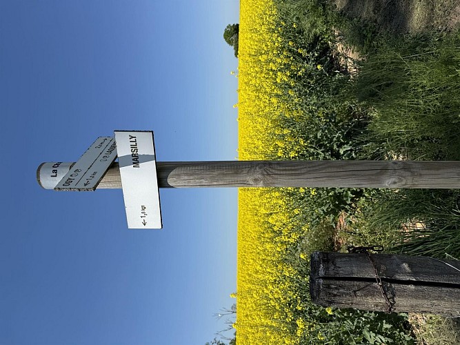 Circuit à travers champs