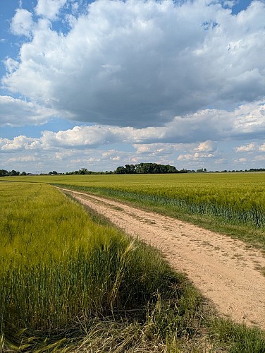 Communauté de Communes du Haut Chemin Pays de Pange