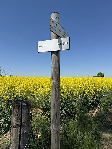 Communauté de Communes du Haut Chemin Pays de Pange