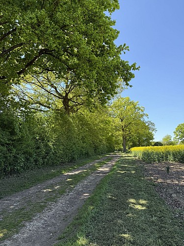 Communauté de Communes du Haut Chemin Pays de Pange