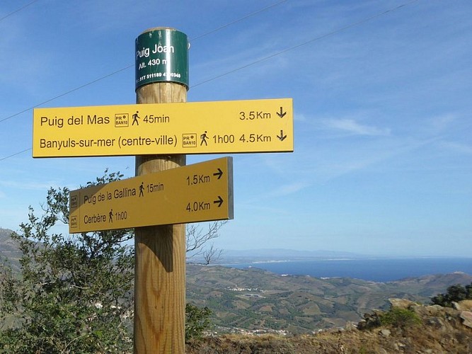 La Vall dels cérvols