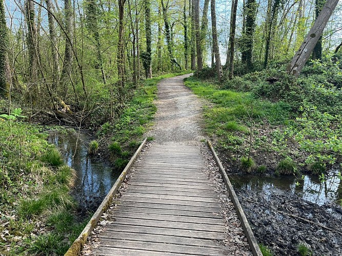 Entre Nature et Patrimoine à Ferrières-en-Brie_Ferrières-en-Brie
