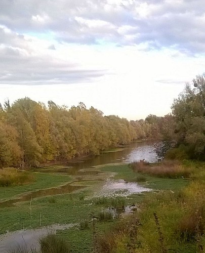 Parc du Peuple de l'Herbe - Refuge ornithologique