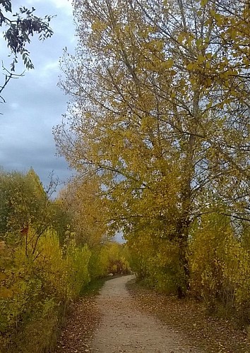 Parc du peuple de l'Herbe
