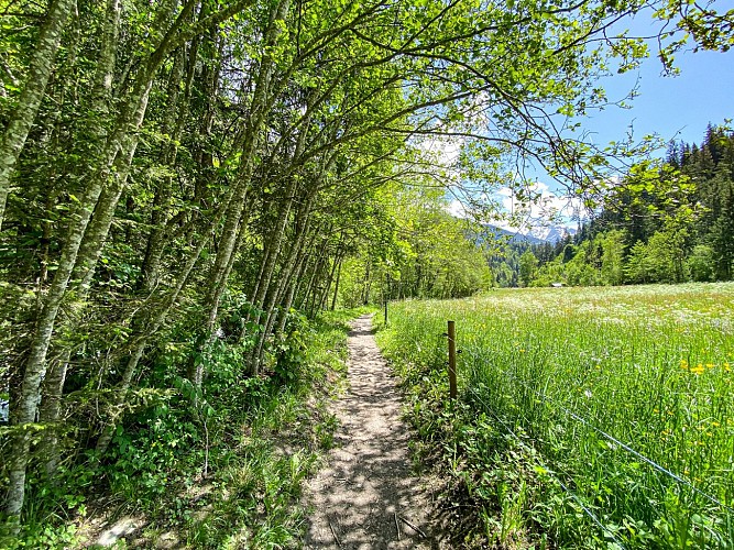 Le sentier du Val Montjoie, de Saint-Gervais aux Contamines