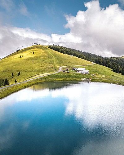 Le Lac de Joux depuis le Mont d'Arbois